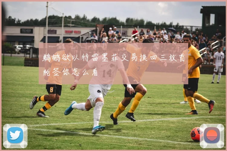 鹈鹕欲以特雷墨菲交易换回三枚首轮签你怎么看