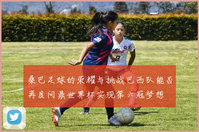 桑巴足球的荣耀与挑战巴西队能否再度问鼎世界杯实现第六冠梦想